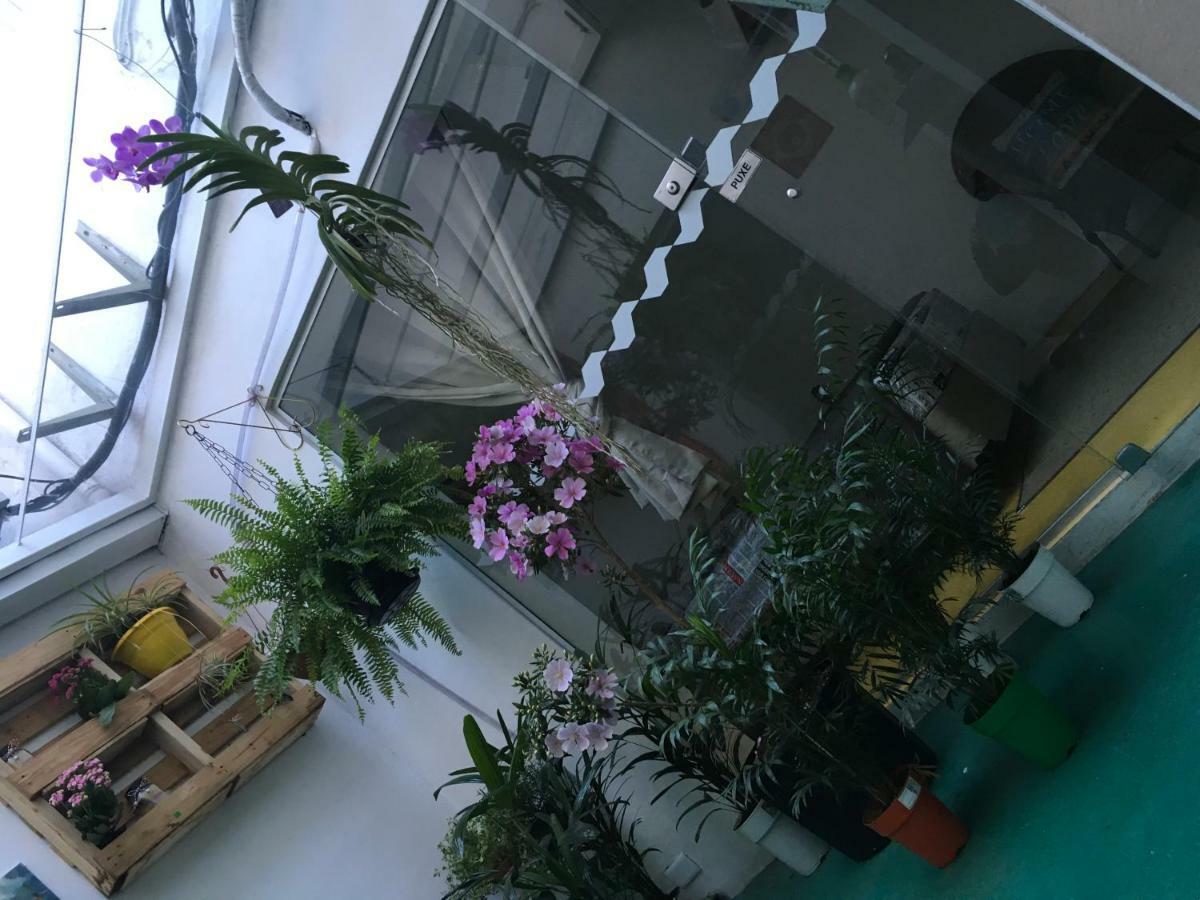 Augusta Jardins Home ساو باولو المظهر الخارجي الصورة